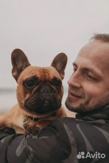 Услуги кинолога с выездом / Зоопсихолог