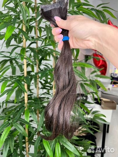Волосы для наращивания славянка
