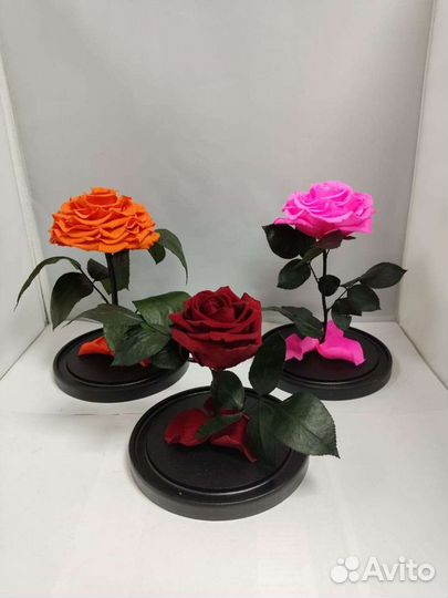 Роза в колбе оптом и в розницу
