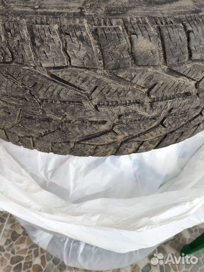 Tigar Winter 205/55 R16 94H