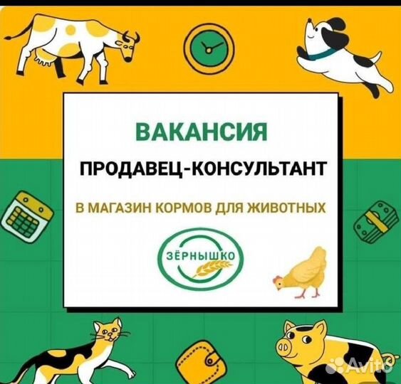 Продавец консультант