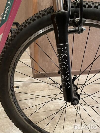 Велосипед Welt Edelweiss 1.0