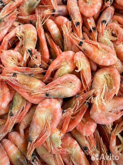 Креветки северные 250+