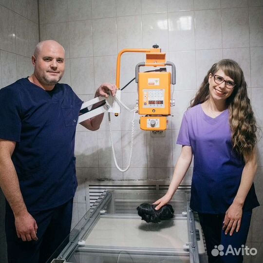 Ветеринарные услуги