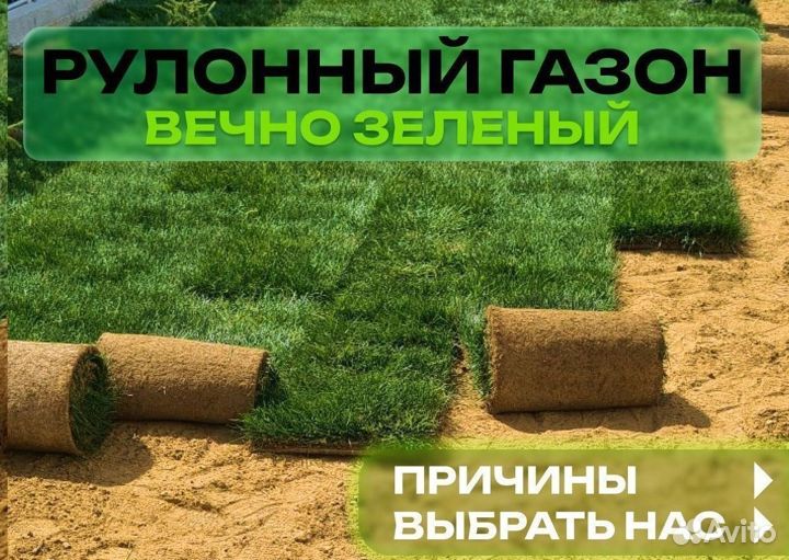 Рулонный газон. Универсален для любой задачи