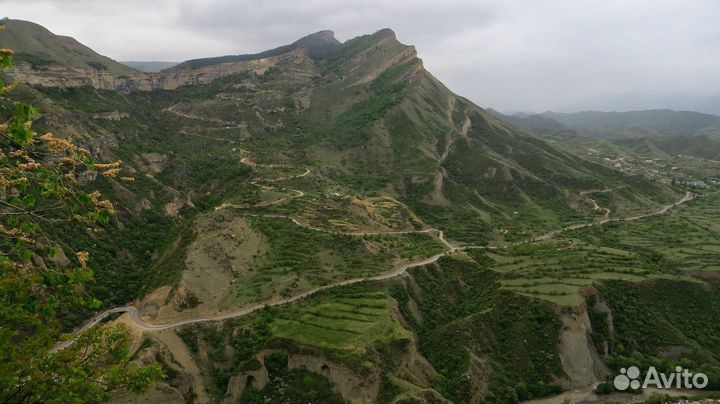 Автобусный тур 