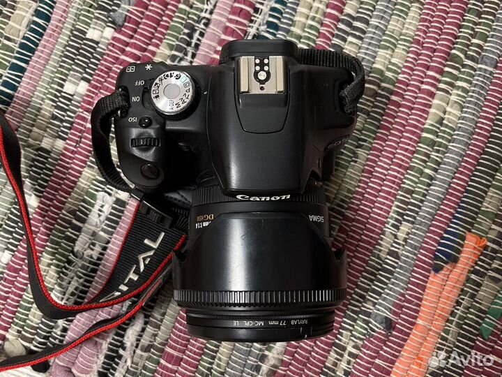 Canon 500d Sigma 50mm 1:1.4