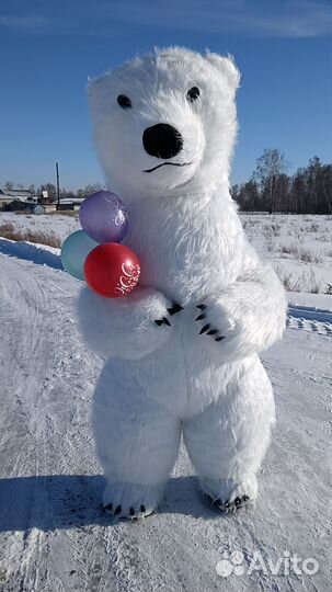 Поздравления от Потапыча, Микки и Минни Маус