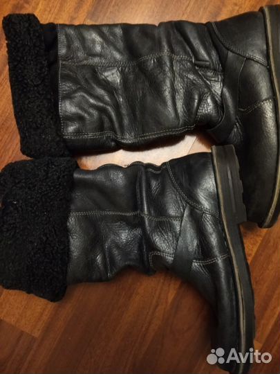 Зимние сапоги ecco