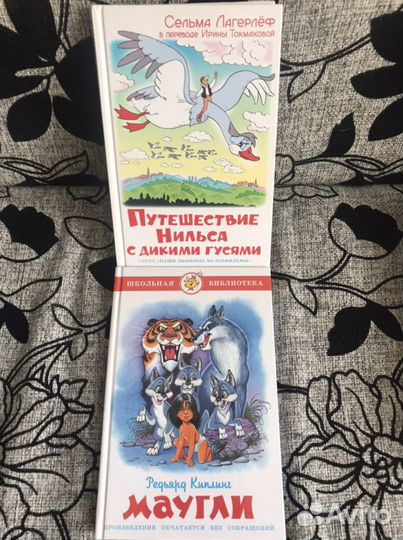 Книги для внеклассного чтения