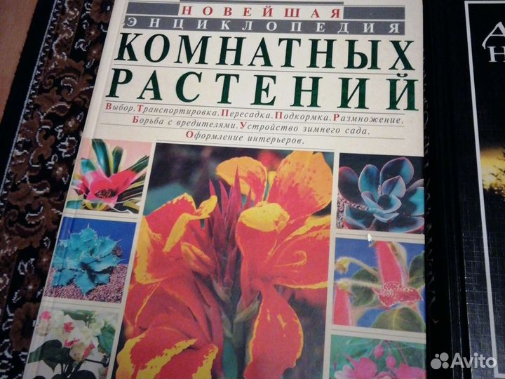 Книги в прекрасном исполнении
