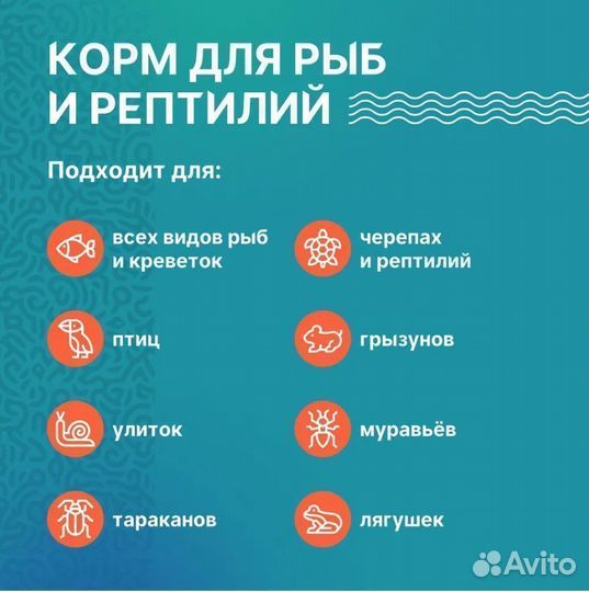 Гаммарус измельченный