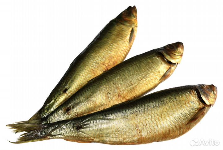 Рыба холодного копчения