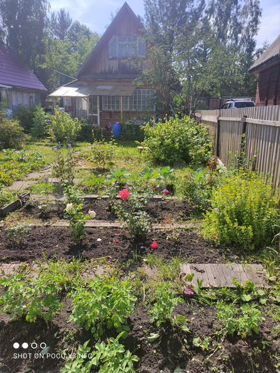 Дача 24 м² на участке 5 сот.