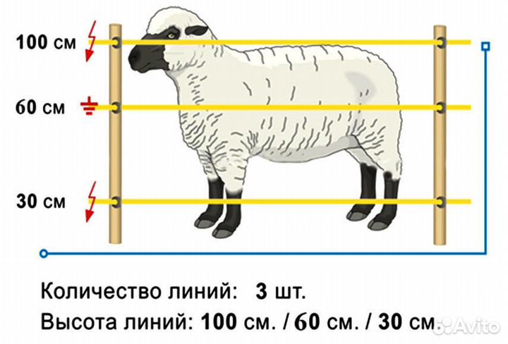 Электропастух для домашнего скота