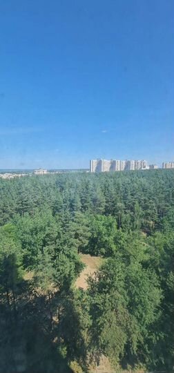 1-к. квартира, 38 м², 10/17 эт.