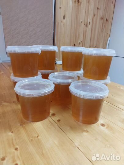 Свежий мёд 2024