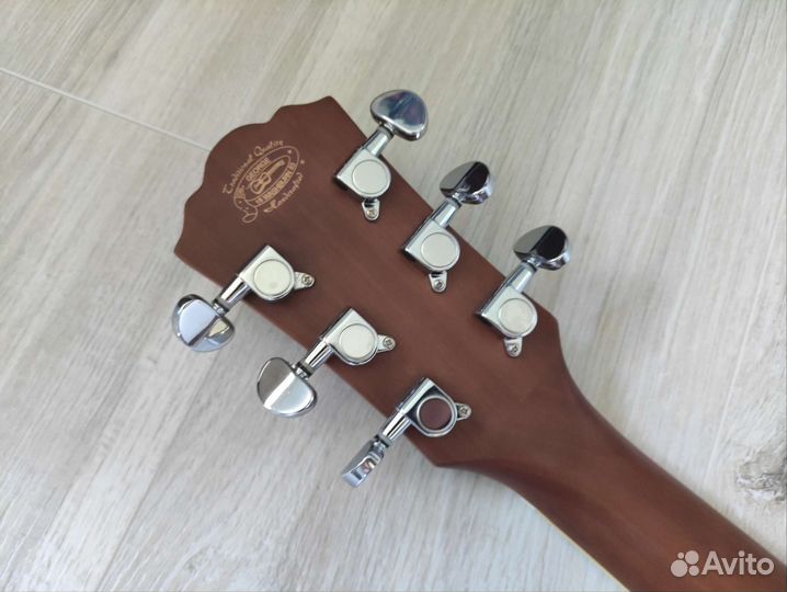 Washburn WD10NS Массив с чехлом