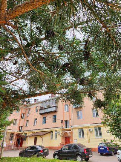 3-к. квартира, 60,1 м², 3/3 эт.