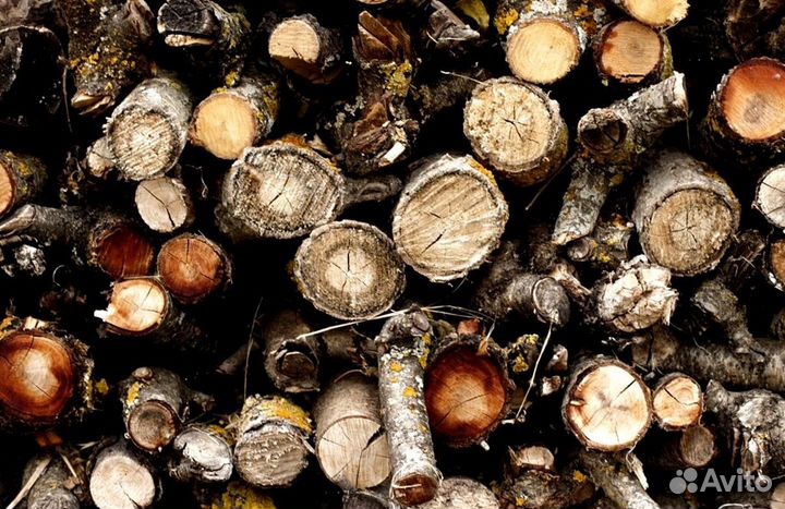 Дрова в печь