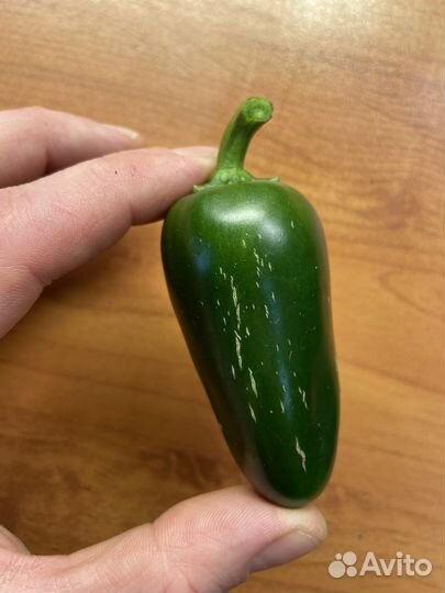 Семена перца халапеньо 200 шт