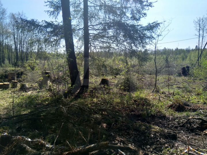 Участок 12 сот. (ИЖС)