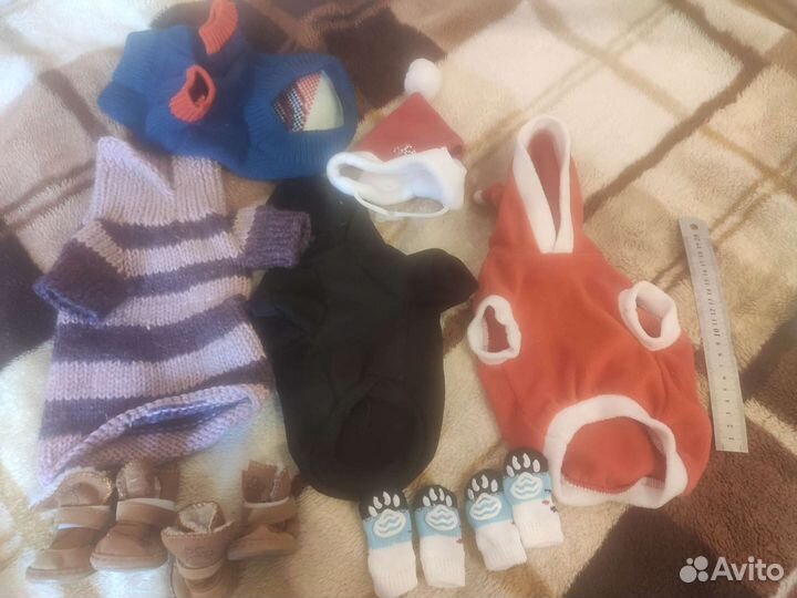 Одежда и обувь для собак или кошек