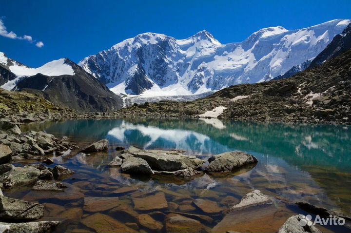 Конный поход