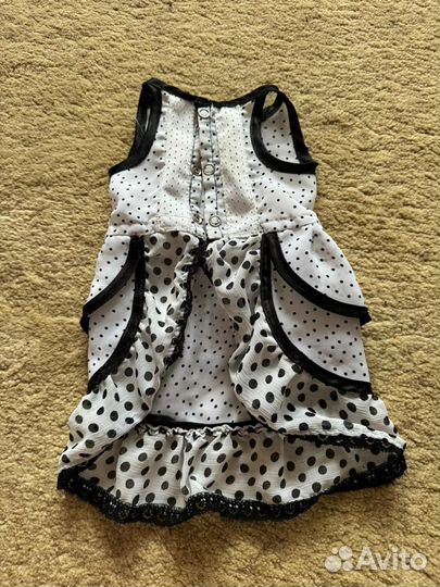 Одежда для маленьких собак