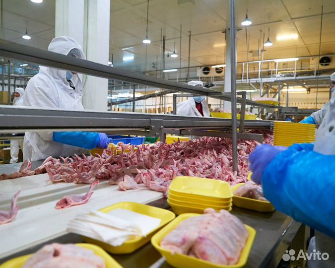 Приглашаем на работу вахтой на птицефабрике Пермь