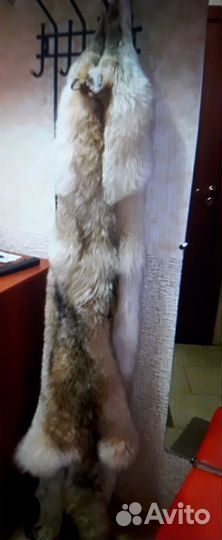 Шкура волка 2м