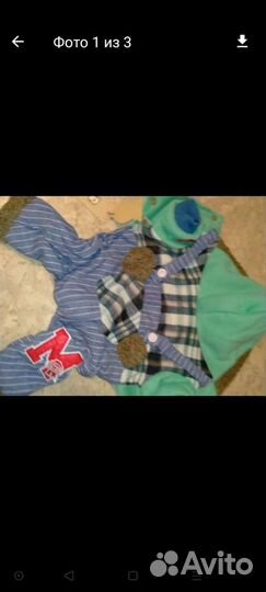 Одежда для собак