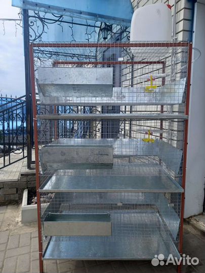 Брудеры и клетки