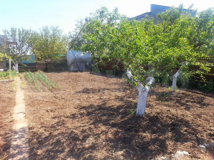 Дача 26 м² на участке 4,5 сот.