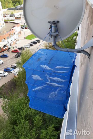 Сушилка для рыбы