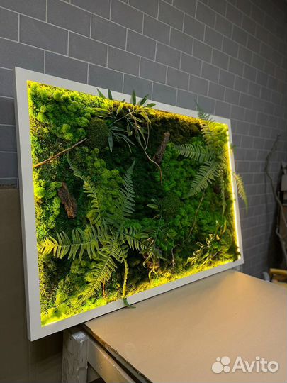 Фитокартина из мха и растений