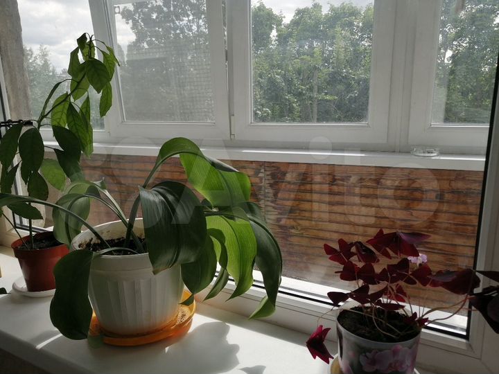 1-к. квартира, 39 м², 4/9 эт.