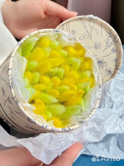 Набор «Цитрус»