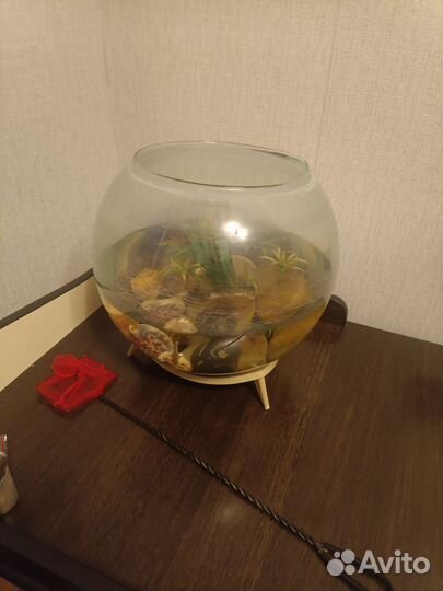 Аквариум и рыбка