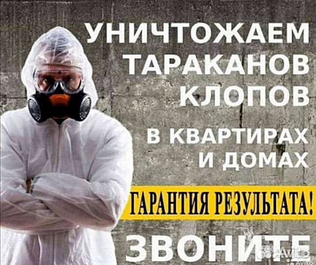 Уничтожение клопов тараканов мышей блох плесени