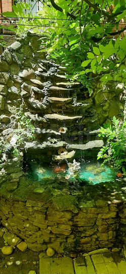 Дом 60 м² на участке 3 сот.