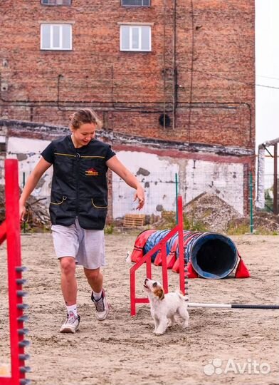 Услуги кинолога