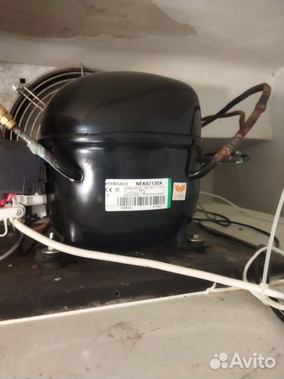 Холодильная камера для цветов бу