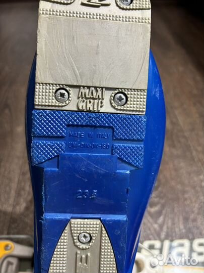 Горные лыжи сноублейды