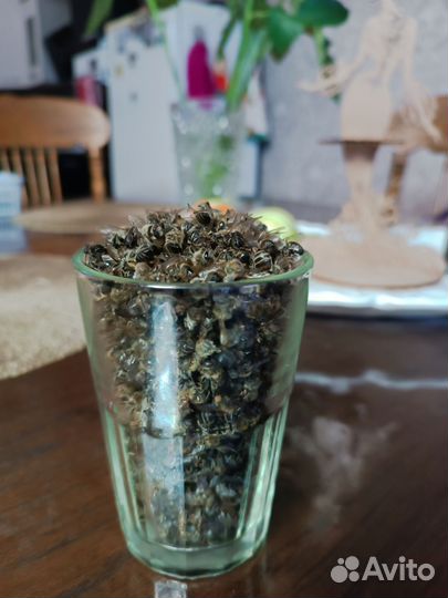 Пчелиный подмор