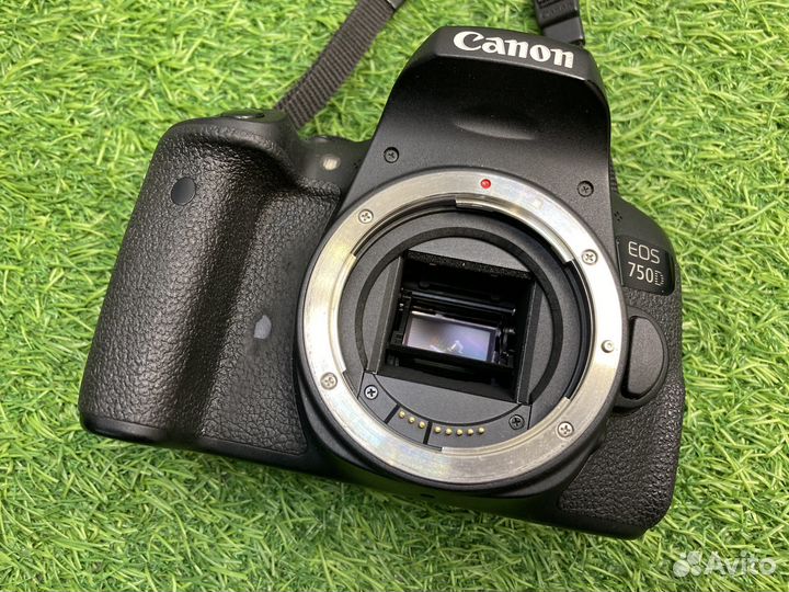 Canon EOS 750D (97.800 кадров)