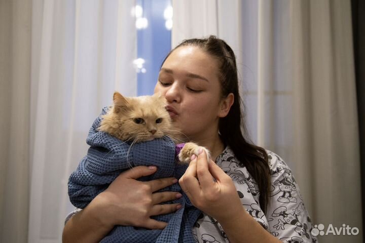 Ветеринарный врач Срочный выезд паспорт