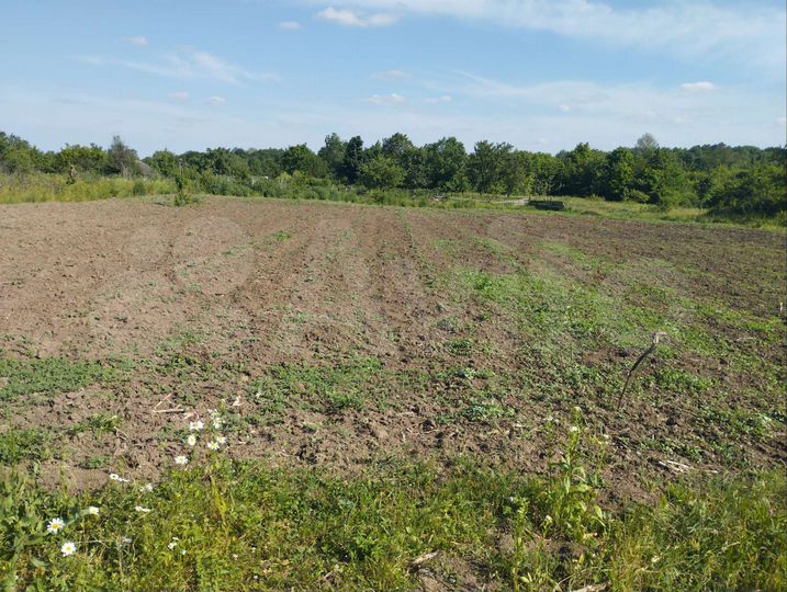 Участок 94 сот. (СНТ, ДНП)