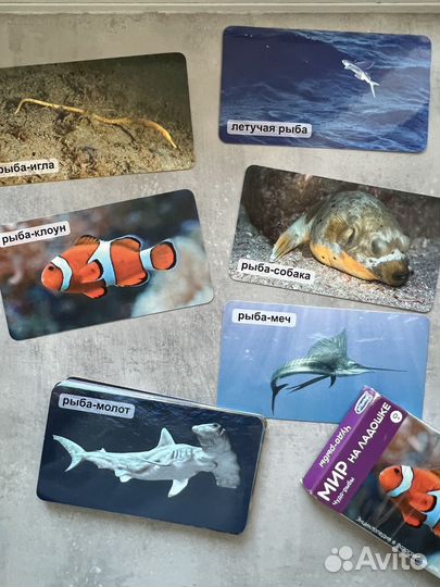 Умница мир на ладошке монтессори карточки