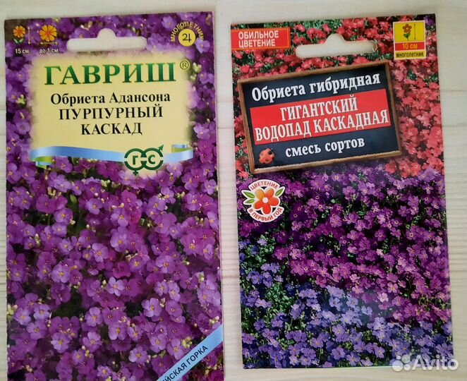 Обриетта Многолетник